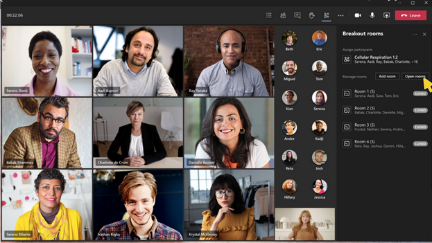 Online-Schulung über Microsoft Teams mit mehreren Teilnehmern